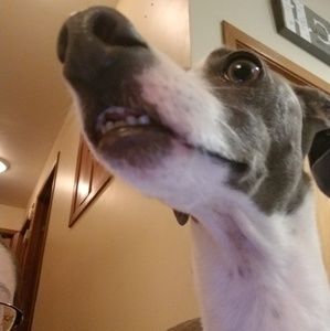 Meet your Posher, Naomi